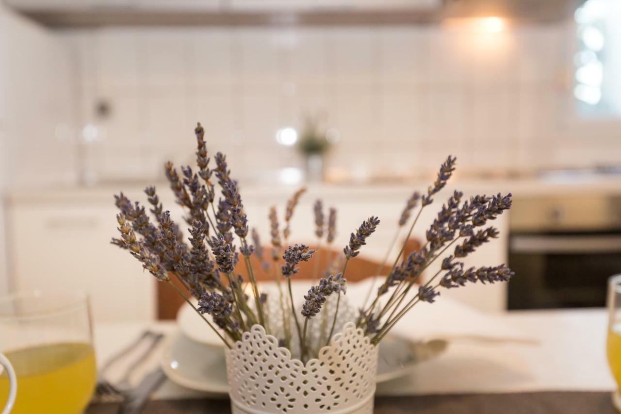 Cozy Apartment Josipa ปริฟลากา ภายนอก รูปภาพ